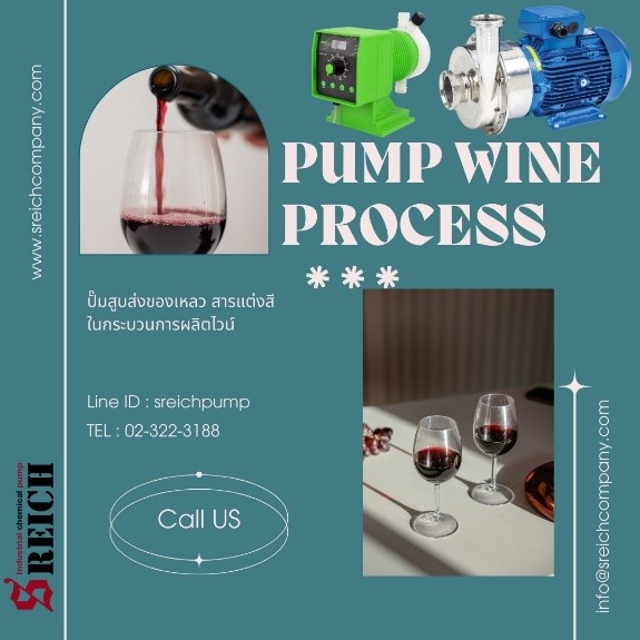 โดสซิ่งปั๊ม Dosing pump เครื่องจ่ายสารละลาย เติมสารปรุงแต่ง ปั๊มอิตาลี รูปที่ 3