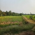 ที่ดินเปล่า 150 ตร.วา ทำเลดี ราคาคุ้ม ตำบลสร้อยฟ้า อำเภอโพธาราม จังหวัดราชบุรี ราคาเพียง 350,000 บาท