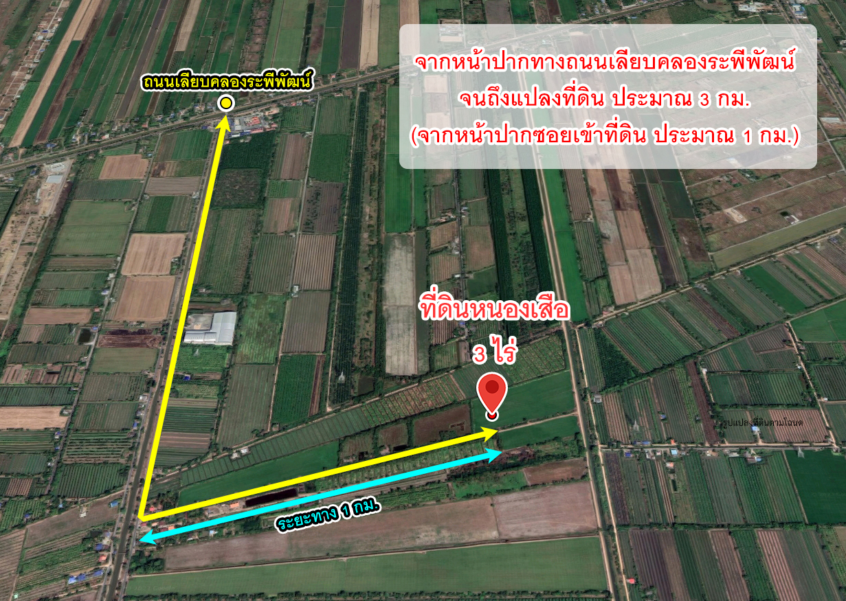 ขายที่ดิน ถนนคลองเก้า คลองระพีพัฒน์ หนองเสือ ปทุมธานี รูปที่ 3
