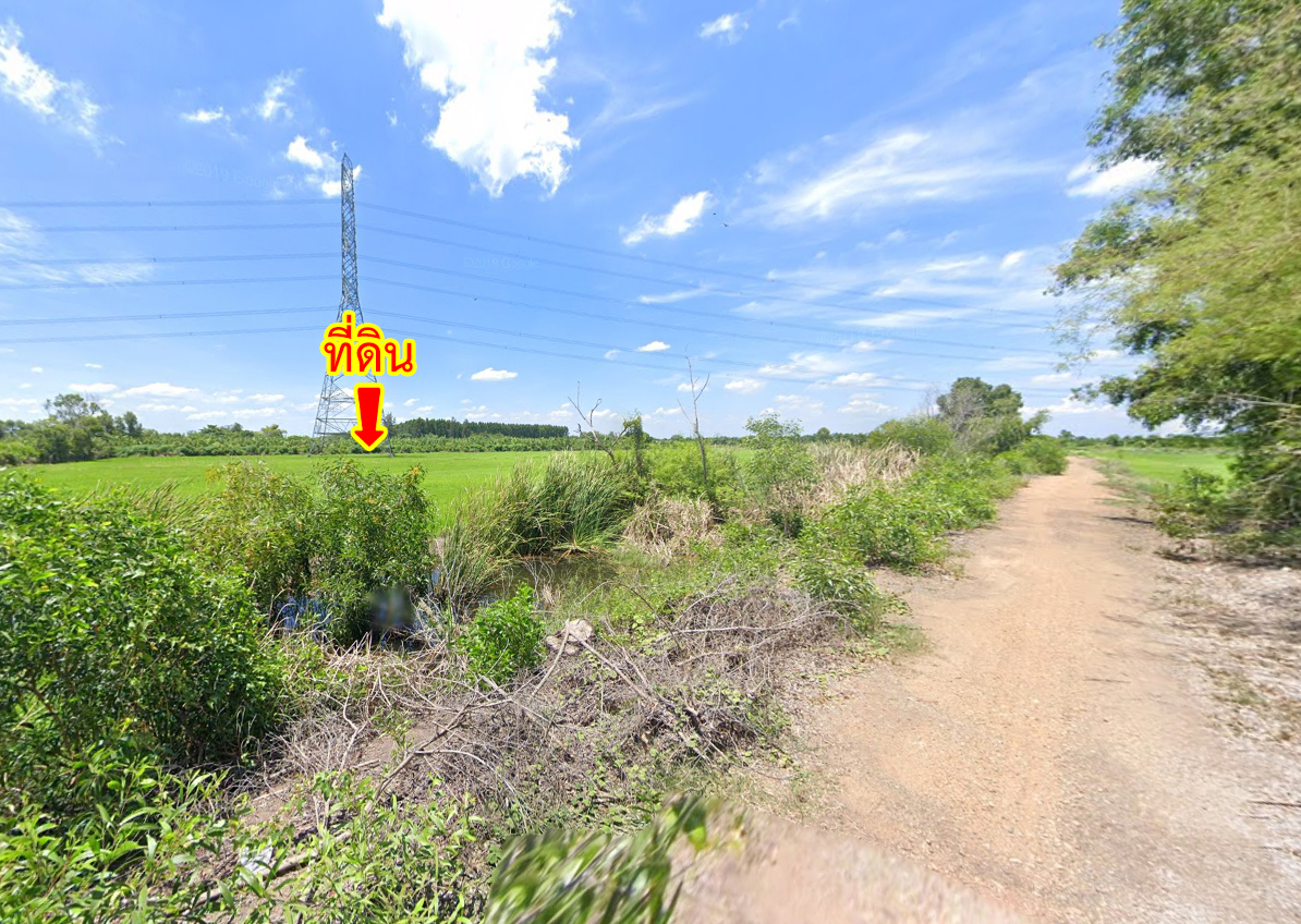 ขายที่ดิน ถนนคลองเก้า คลองระพีพัฒน์ หนองเสือ ปทุมธานี รูปที่ 2