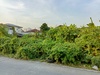 รูปย่อ ขายที่ดินแปลงมุม ซอยนาคนิวาส 21 ลาดพร้าว รูปที่7