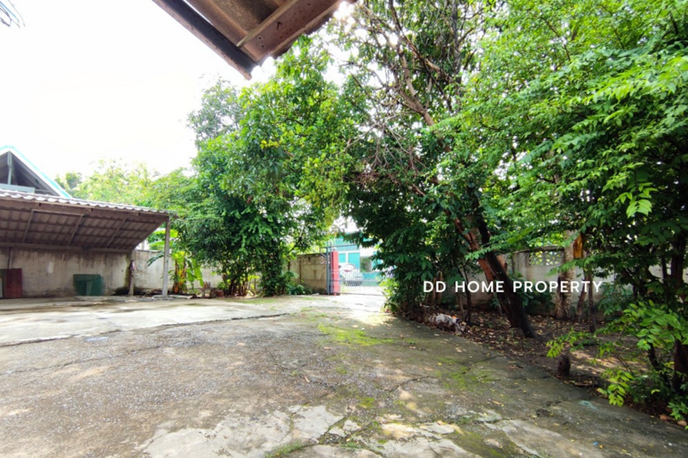 บ้านพร้อมที่ดิน ลาดบัวหลวง-พระนครศรีอยุธยา (DD002436) รูปที่ 3
