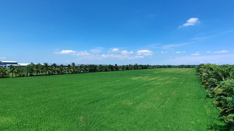 ขายที่ดินนาข้าว 7 ไร่  ทำเลดี ตรงข้ามโรงพยาบาลส่งเสริมสุขภาพ ต.หนามแดง อ.เมืองฉะเชิงเทรา รูปที่ 4