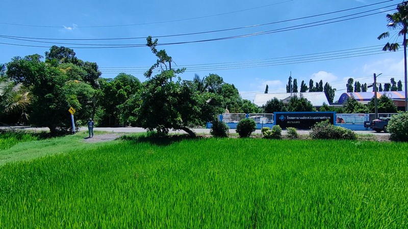 ขายที่ดินนาข้าว 7 ไร่  ทำเลดี ตรงข้ามโรงพยาบาลส่งเสริมสุขภาพ ต.หนามแดง อ.เมืองฉะเชิงเทรา รูปที่ 3