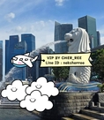 รับสมัครน้องๆ ลงงานVipสิงคโปร์เงินดี งานปัง  Line ID: nekcherree 