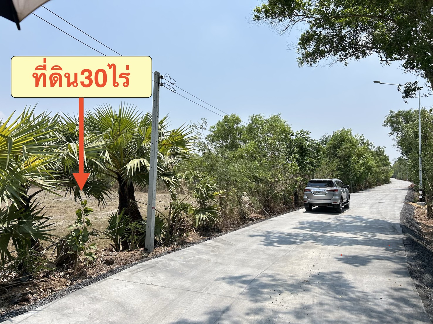 ขายที่ดินทำเลดี 30 ไร่ เจ้าของขายเอง  081-3763803 รูปที่ 3