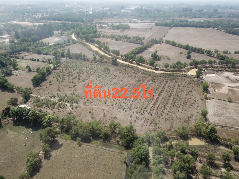 ขายที่ดินขนาด 22.5 ไร่ ใน อำเภอประจันตคาม จังหวัดปราจีนบุรี  รูปที่ 6