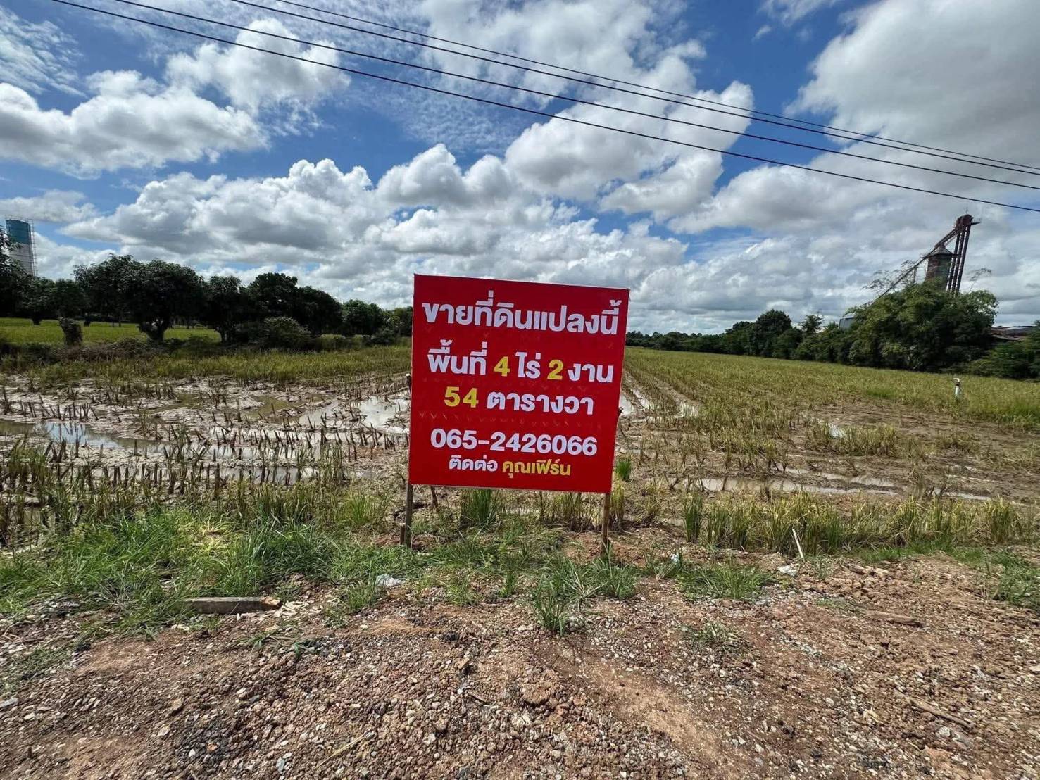 ขายถูกมาก!! ที่ดิน 4 ไร่ 2 งาน 54 ตร.ว. ติดถนนใหญ่ ตรงข้ามปั๊มน้ำมัน ปตท.หนองตม อ.พรหมพิราม จ.พิษณุโลก รูปที่ 3