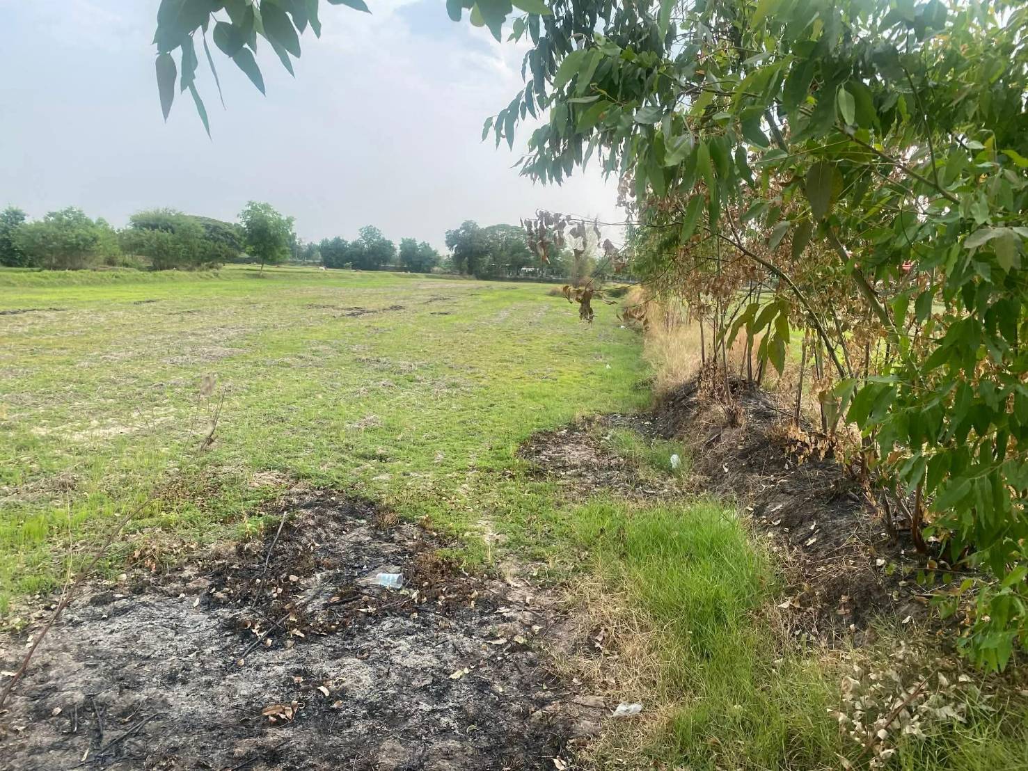 ถูกสุดๆ!! ที่นา 6 ไร่ ติดถนนใหญ่ 4 เลน อ.บ้านใหม่ไชยพจน์ จ.บุรีรัมย์ ใกล้ตัว อ.บ้านใหม่ไชยพจน์และอ.พุทไธสง รูปที่ 5