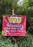 ขาย / ให้เช่าที่ดินเปล่า ลำลูกกา คลอง 9 ที่ดินจัดสรร ทำเลดี อยู่ในแหล่งชุมชน เหมาะสำหรับสร้างบ้านพักอาศัย หรือซื้อเก็บไว้ลงทุนในอนาคต