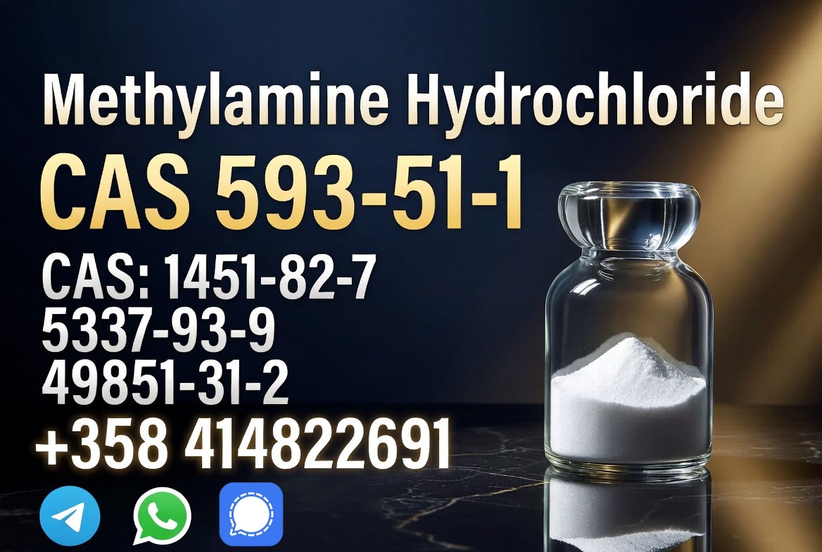 99 %Purity Methylamine Hydrochloride Cas 593-51-1 Factory Supply    รูปที่ 3