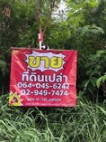 ขาย / ให้เช่าที่ดินเปล่า ลำลูกกา คลอง 9 ทำเลดี ที่ดินจัดสรร