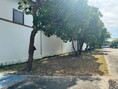 โกดัง พร้อมออฟฟิศ @บางปลา - บางพลี (ซอยธนสิทธิ์) ให้เช่า