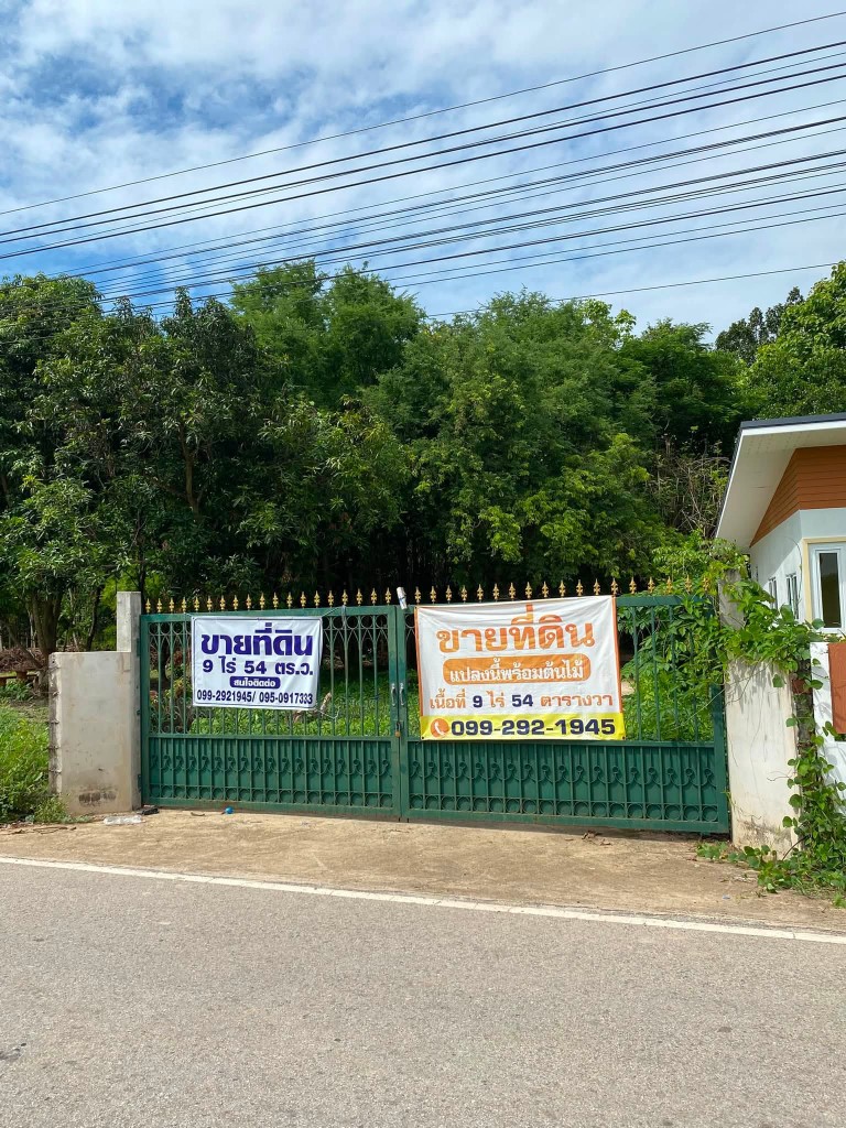 ขายถูมาก!! ที่ดิน 9ไร่กว่า ติดถนน วิวภูเขา บรรยากาศดี ทำเลทอง อ.วังทอง จ.พิษณุโลก ใกล้ตลาดวังทอง 2 กม. รูปที่ 4