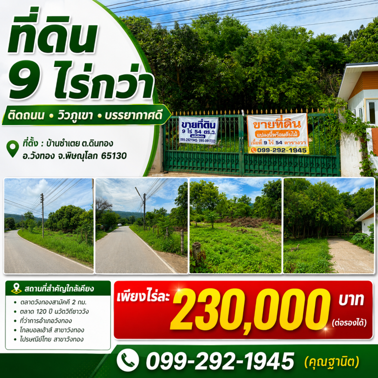 ขายถูมาก!! ที่ดิน 9ไร่กว่า ติดถนน วิวภูเขา บรรยากาศดี ทำเลทอง อ.วังทอง จ.พิษณุโลก ใกล้ตลาดวังทอง 2 กม. รูปที่ 3