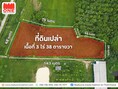 ที่ดินเปล่า 3 ไร่ 38 ตารางวา  อ.ท่าศาลา ราคาเพียง 1,100,000 บาท 