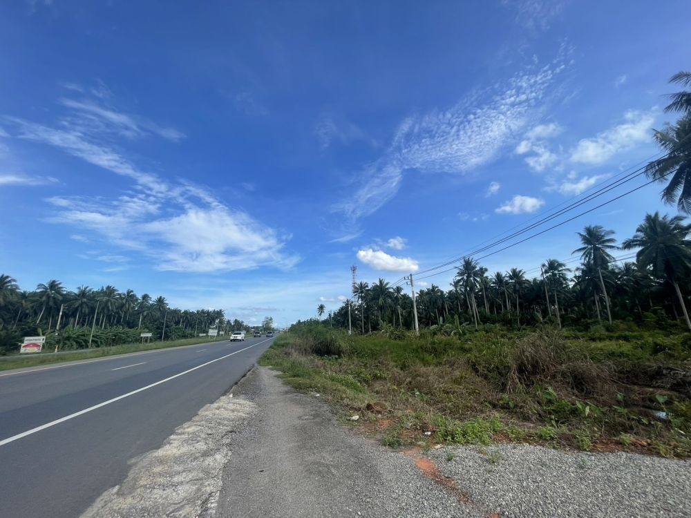 ขายที่ดินทำเลติดถนนใหญ่ หน้ากว้าง 112 เมตร ใกล้เซ็นทรัลสุราษฎร์ รูปที่ 3
