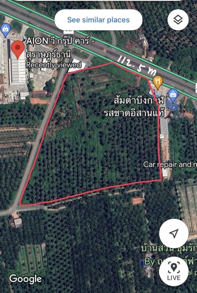 ขายที่ดินทำเลติดถนนใหญ่ หน้ากว้าง 112 เมตร ใกล้เซ็นทรัลสุราษฎร์ รูปที่ 6