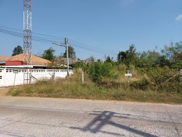 ขายที่ดิน 135 ตร.ว. บึงทับช้าง โคราช อยู่ติดกับโครงการ havana korat โทร 0940168212 รูปที่ 4