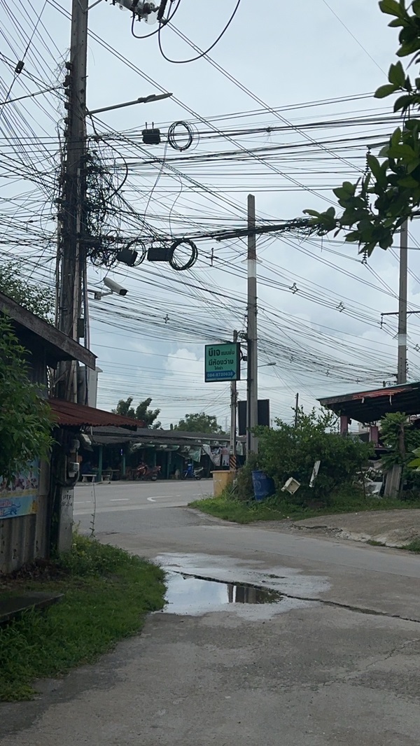 ขายที่ดินเปล่า 198 ตร.ว. ทำเลทอง ติดถนน ต.หนองตำลึง อ.พานทอง จ.ชลบุรี โทร 0953157555 รูปที่ 6