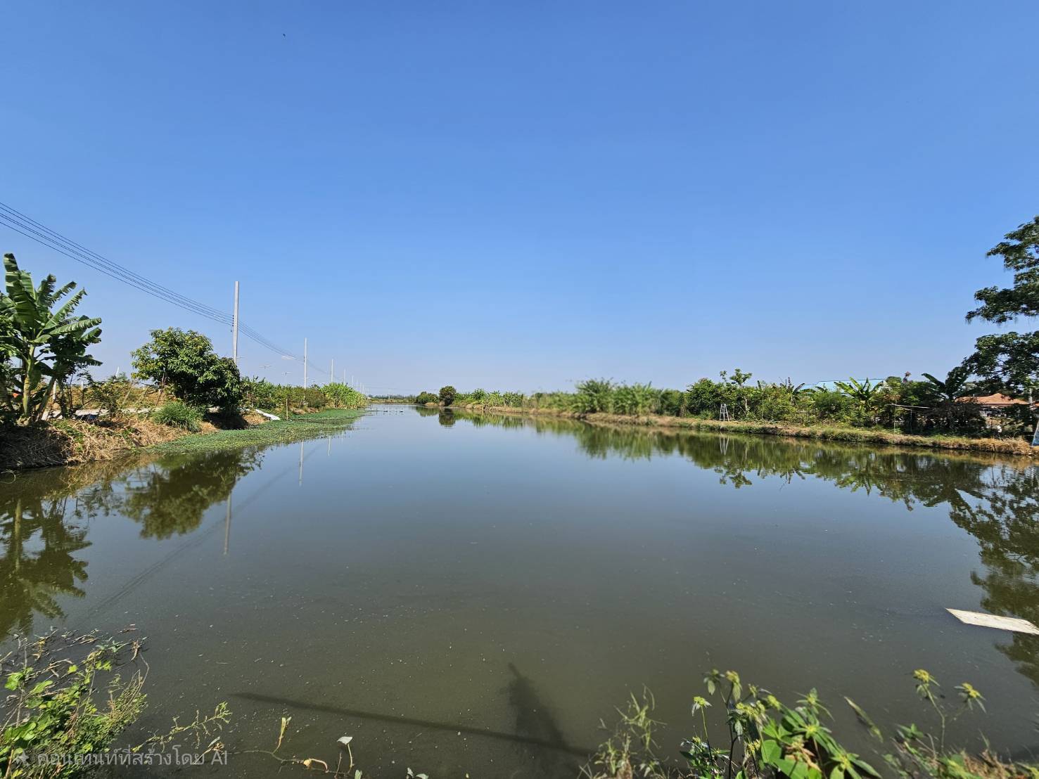 ขายด่วนที่ดินแปลงใหญ่ บางเสาธง จังหวัดสมุทรปราการ ติดถนนสาธารณะ น้ำ ไฟ พร้อม รูปที่ 6