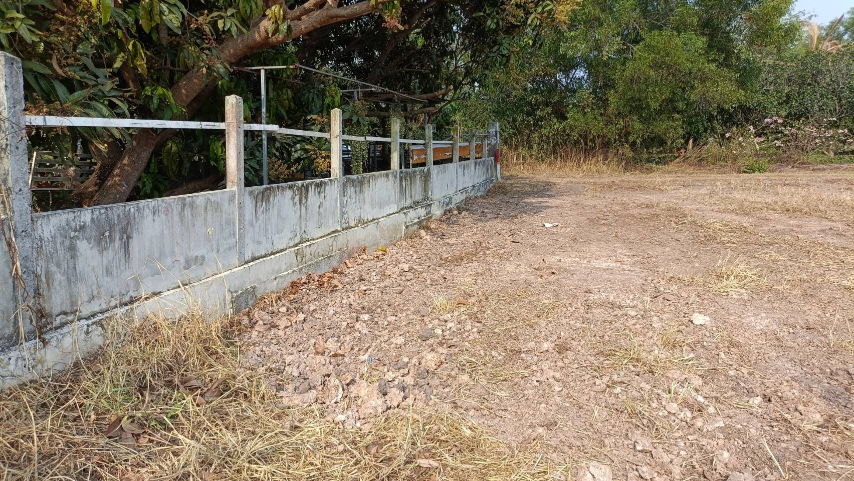 ขายที่ดินเนื้อที่ 2 ไร่ ติดรีสอร์ทบ้านสกายฟราวเวอร์ ต.หนองหมู อ.วิหารแดง จ.สระบุรี รูปที่ 4