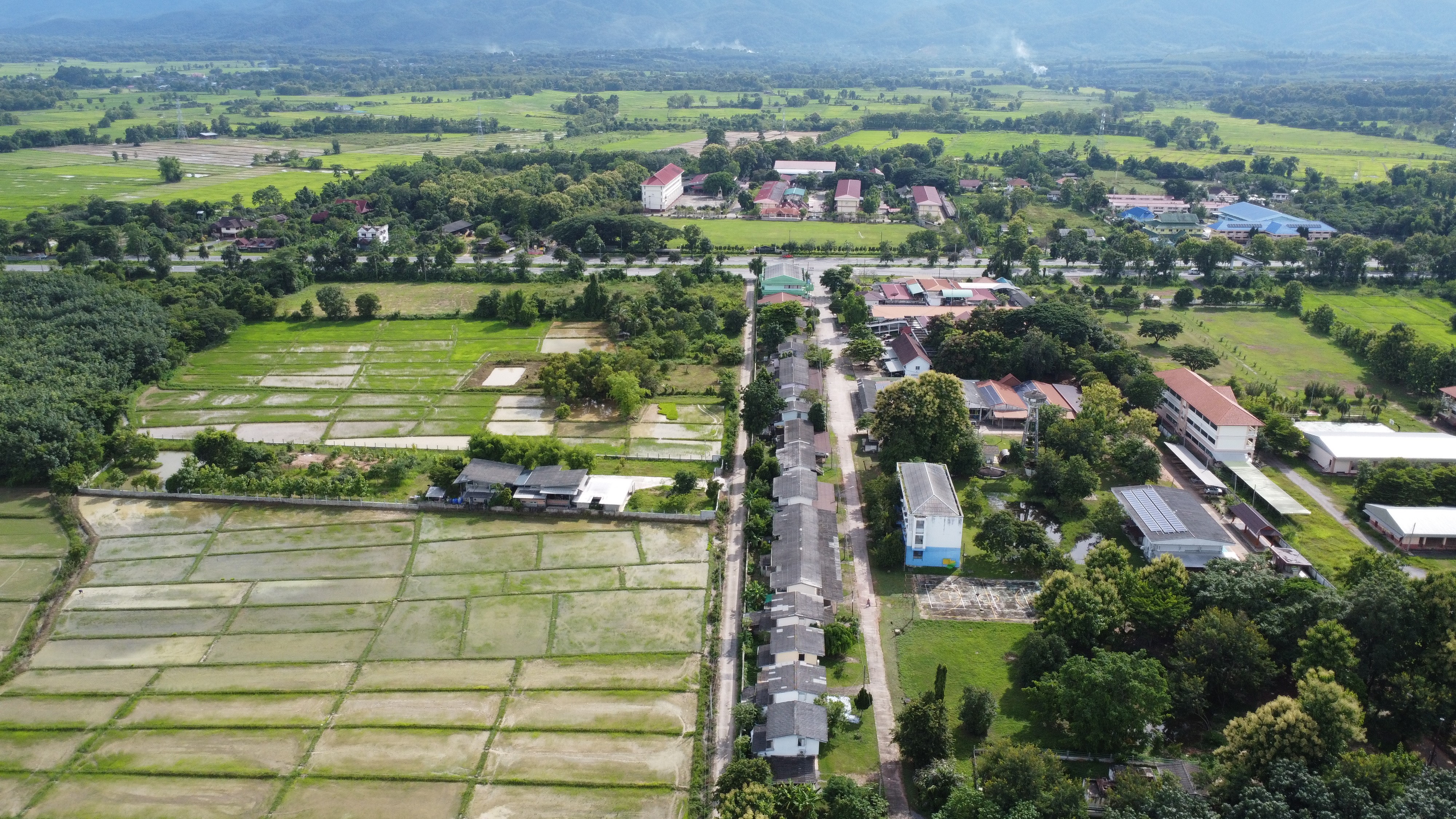 ขายที่ดินสวย ทำเลดี  1 ไร่ 2 งาน อำเภอแม่ใจ จังหวัดพะเยา  รูปที่ 6
