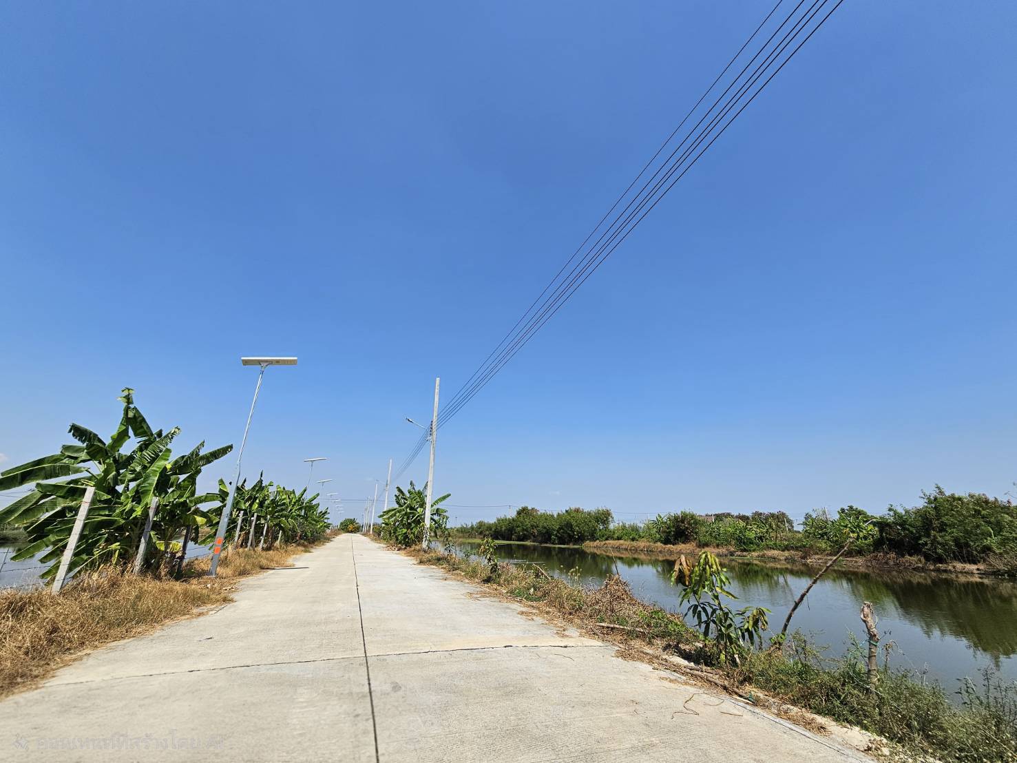 ขายด่วนที่ดินแปลงใหญ่ บางเสาธง จังหวัดสมุทรปราการ ติดถนนสาธารณะ น้ำ ไฟ พร้อม รูปที่ 7