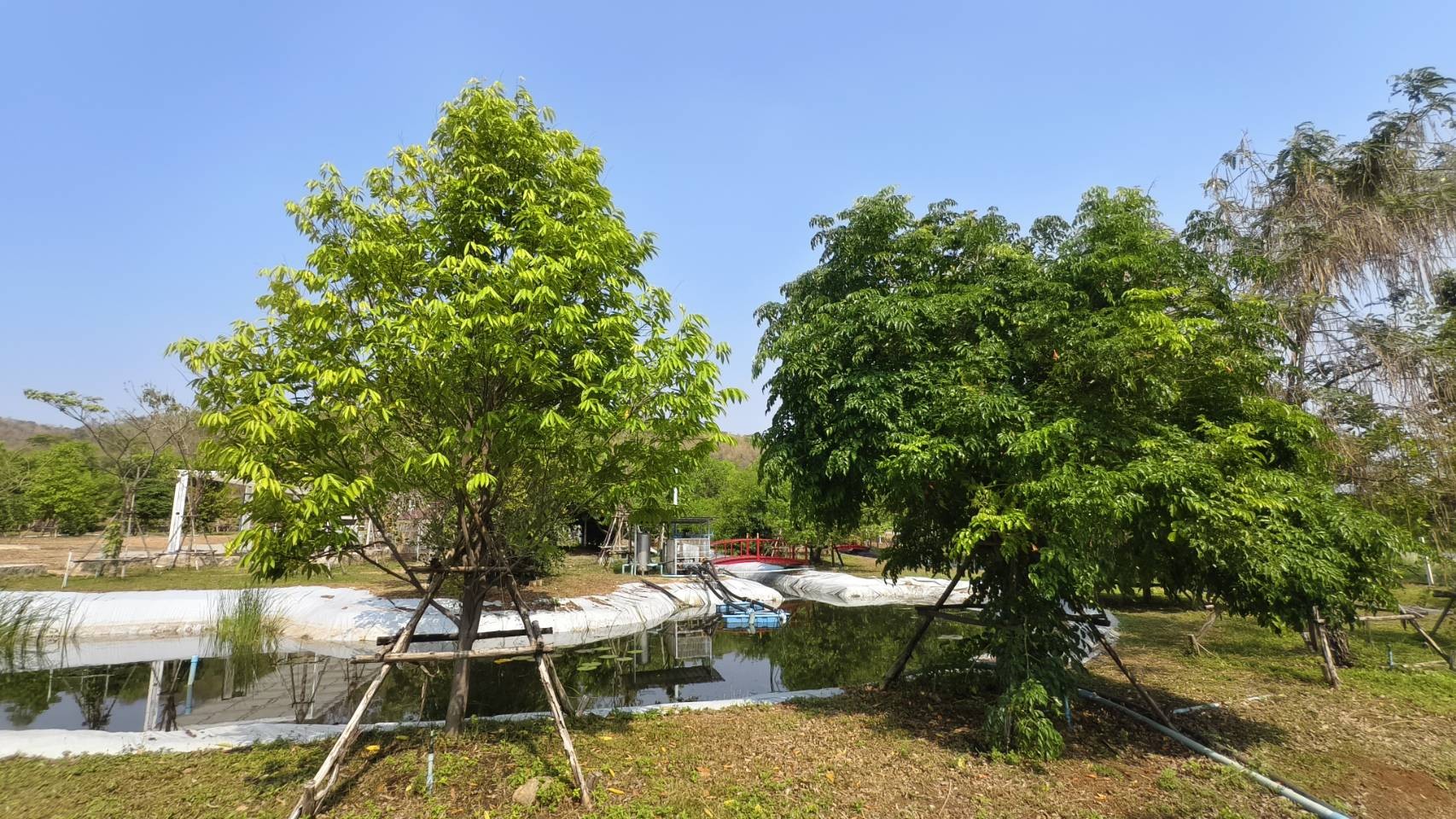  ขายรวมของที่ดินแปลงนี้คือ 6,000,000 บาท (ไร่ละ 1,200,000 บาท)  รูปที่ 7