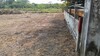 รูปย่อ ขายที่ดินเนื้อที่ 2 ไร่ ติดรีสอร์ทบ้านสกายฟราวเวอร์ ต.หนองหมู อ.วิหารแดง จ.สระบุรี รูปที่6
