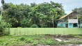 PZ1481–ขาย ที่ดิน พร้อมบ้าน 4 หลัง ติดเขา และสวนผลไม้ 1 ไร่ 3 งาน 38 ตรว. + ภ.บ.ท. 3 ไร่ ตำบลเขาพระ อำเภอเมืองนครนายก  จังหวัดนครนายก