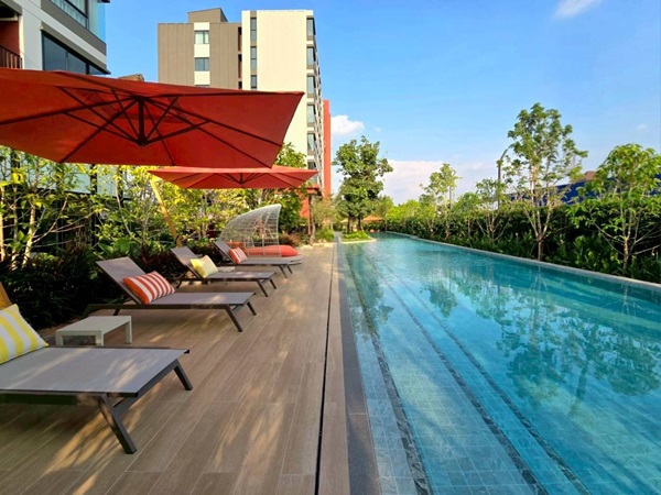 ขายคอนโดใหม่ dcondo Vivid Rangsit ใกล้ ม.กรุงเทพ รังสิต ปทุมธานี พร้อมอยู่ โทร 0654496399 รูปที่ 5