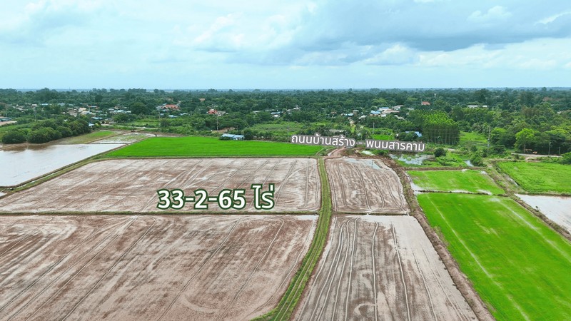 ขายที่ดิน 33 ไร่ ติดถนนบ้านสร้าง  วิวภูเขา บรรยาศธรรมชาติ ต.หนองยาว อ.พนมสารคาม จ.ฉะเชิงเทรา รูปที่ 7