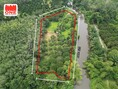 สวนผลไม้ ริมคลองบ้านตาล เนื้อที่ 3 - 2 - 64.1 ไร่ เหมาะสำหรับทำสวนเกษตร หรือทำบ้านสวน 