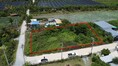 ขาย-ที่ดิน234 ตร.ว. ต.ลานตากฟ้า อ.นครชัยศรี จ.นครปฐม 2,800,000 บาท