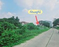 ขายที่บางแค ขายที่เพชรเกษม ห่างจาก MRT บางแค 700 เมตร