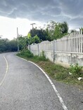 ขายบ้านพร้อมที่ดินพร้อมสวนมะพร้าวตำบลนางตะเคียน อำเภอเมืองสมุทรสงคราม เนื้อที่ 1 ไร่ 1 งาน 82 ตารางวา