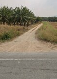 ขายที่ดิน เนื้อที่  311-2-50 ไร่  ผังเมืองสีเหลือง คลองกิ่ว บ้านบึง ชลบุรี