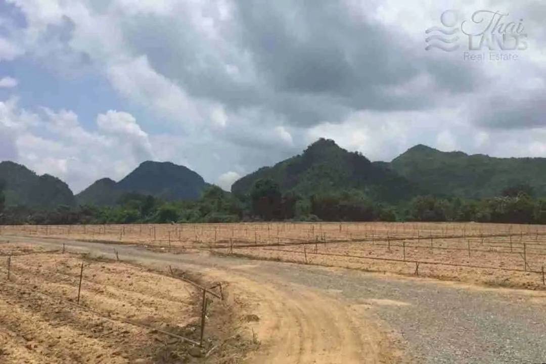 ขายที่ดิน ริมน้ำในเมืองโอกาสแบบนี้ไม่ได้มีบ่อย — แปลงใหญ่ วิวภูเขา ติดแม่น้ำแควน้อย  รูปที่ 5