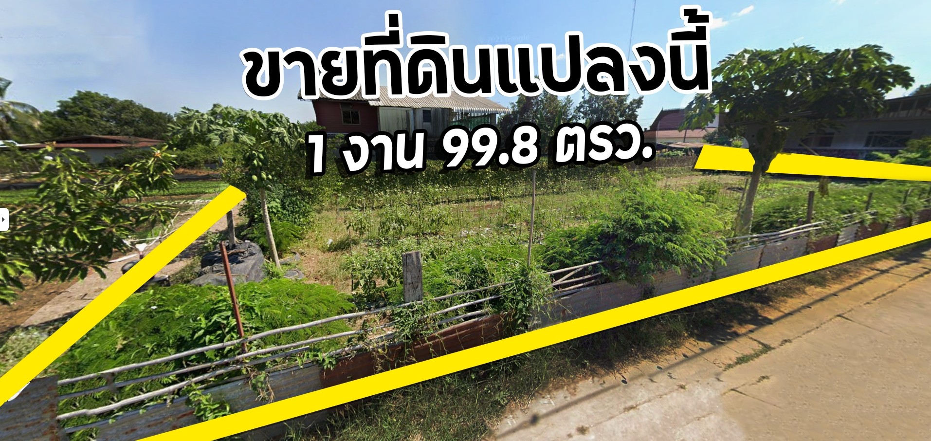 ขายที่ดิน 1 งาน 99.8 ตารางวา (เกือบ 2 งานเต็ม)  หนองคาย รูปที่ 5