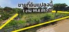 รูปย่อ ขายที่ดิน 1 งาน 99.8 ตารางวา (เกือบ 2 งานเต็ม)  หนองคาย รูปที่4