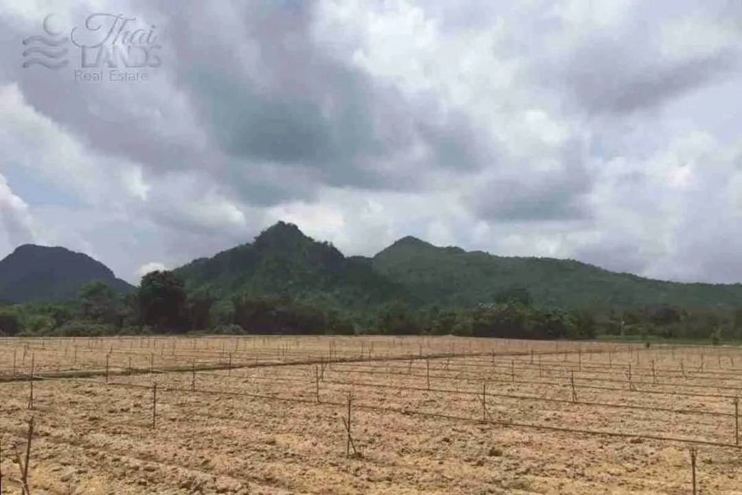 ขายที่ดิน ริมน้ำในเมืองโอกาสแบบนี้ไม่ได้มีบ่อย — แปลงใหญ่ วิวภูเขา ติดแม่น้ำแควน้อย  รูปที่ 6