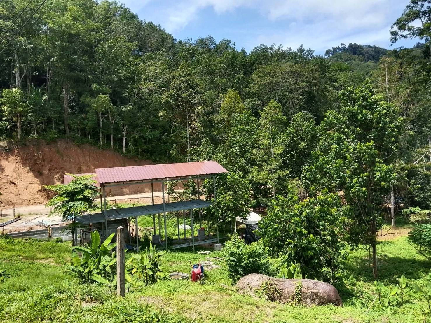 ขายถูกมาก ผ่อนตรงได้!! ที่ดินวิวภูเขา มีให้เลือกหลายแปลง 70 - 610 ตรว. อ.ท้ายเหมือง พังงา ใกล้ทะเล น้ำตกฯ รูปที่ 6
