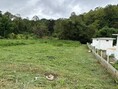 ที่ดินติดลำน้ำ วิวธรรมชาติ บรรยากาศร่มรื่น แม่ออน ห้วยแก้ว