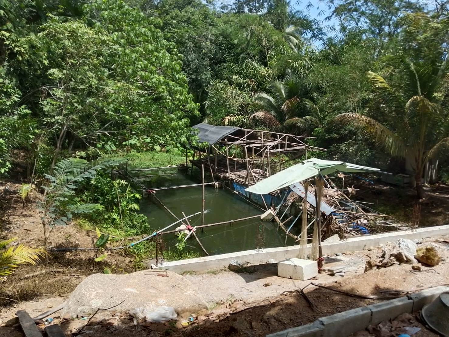 ขายถูกมาก ผ่อนตรงได้!! ที่ดินวิวภูเขา มีให้เลือกหลายแปลง 70 - 610 ตรว. อ.ท้ายเหมือง พังงา ใกล้ทะเล น้ำตกฯ รูปที่ 4