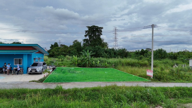 ขายที่ดิน 60 ตร.ว. นาเริก พนัสนิคม ใกล้สี่แยกเกาะโพธิ์ 331 (1.2 กม )   รูปที่ 4