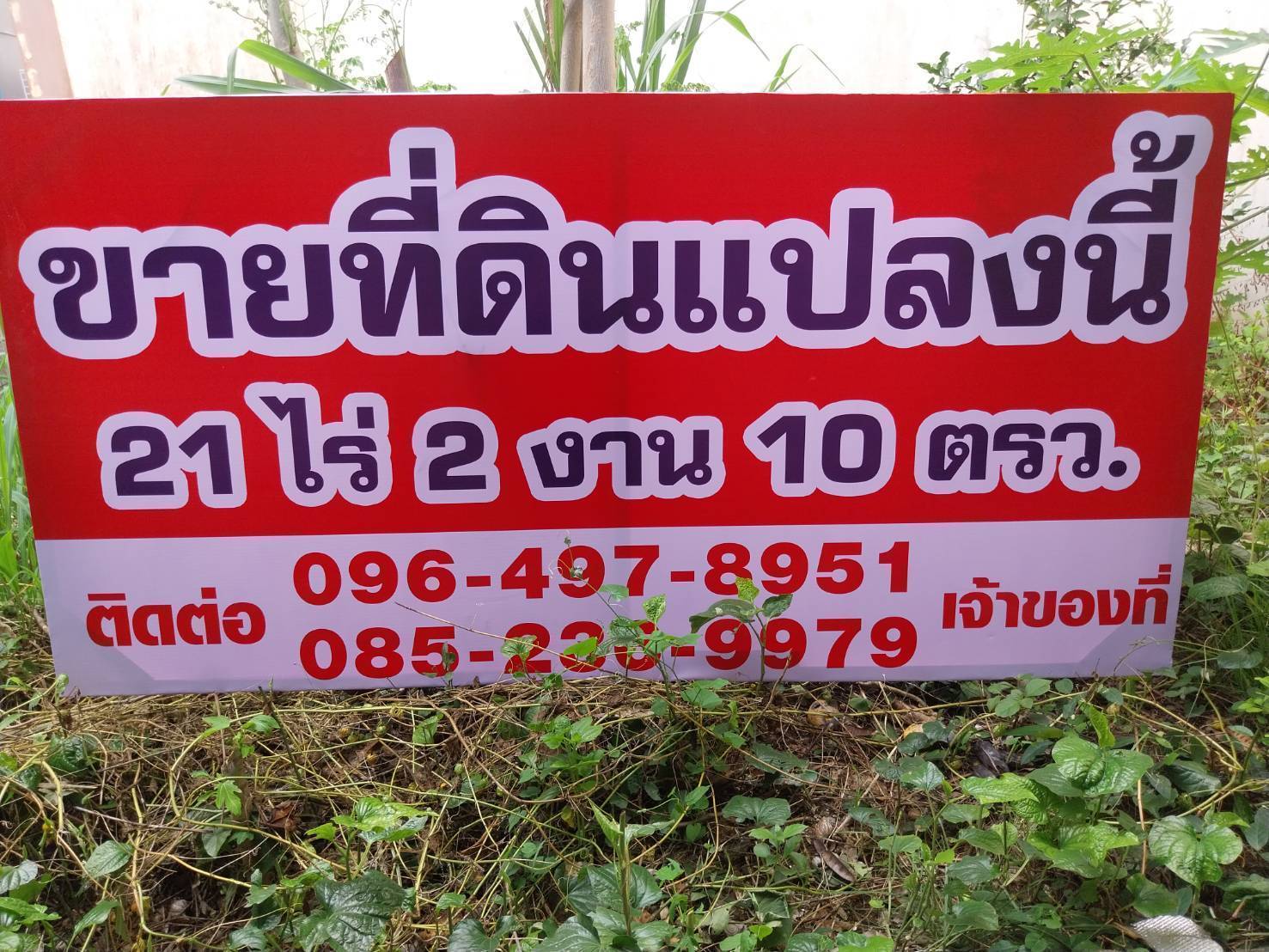 ขายหรือให้เช่าถูกมาก!! ที่ดิน 21-2-10 ไร่ วิวเขาสวย ติดถนน พร้อมสวนทุเรียน ลำไย อ.สอยดาว จ.จันทบุรี รูปที่ 3