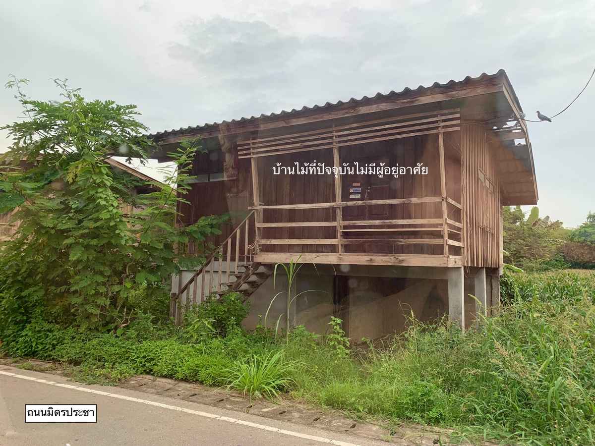 ขายถูก! ที่ดินติดแม่น้ำเกือบ 9 ไร่ในลำพูน ราคาเริ่มต้นแค่ 1.6 ล้านบาท รูปที่ 5