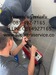 รูปย่อ ดูดส้วม,ท่อตัน,ส้วมเต็ม,ดูดไขมันตัน,แก้ไขท่อตัน,www.supattraservice.com รูปที่3