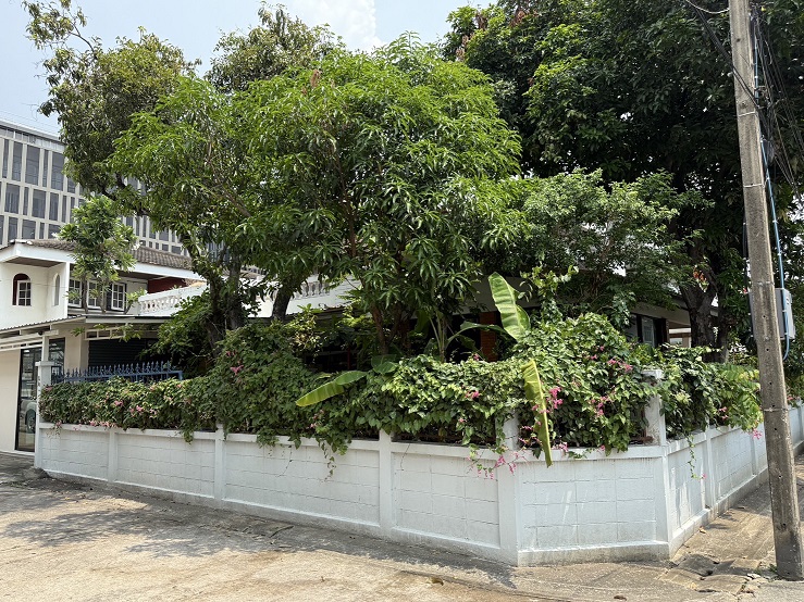 ขายบ้านเดี่ยว ย่านสะพานควาย หมู่บ้านจตุรมิตร ซอยประดิพัทธ์ 15 รูปที่ 3